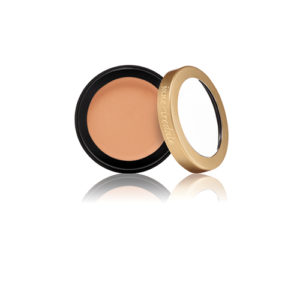 Jane Ireland Enlighten Concealer 1 Captivating Aesthetics